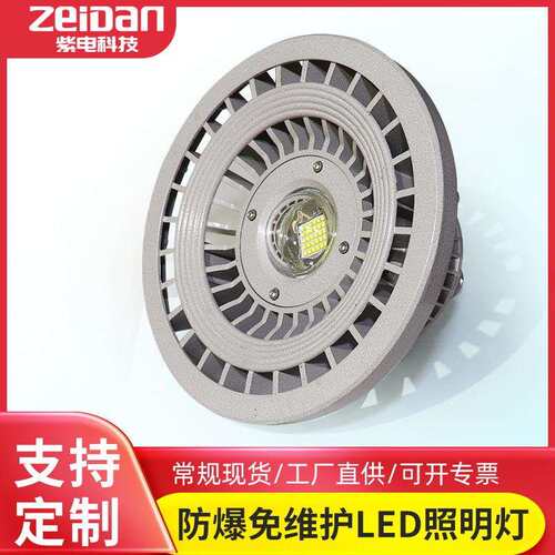 厂家直供防爆免维护LED照明灯可应急50W100W大光源仓库车间投光灯