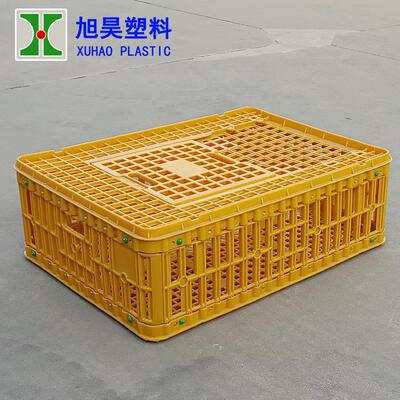 青年鸡运输笼鸽用周转箱抗压耐用73*54.5*24cm鸡鸭运输筐