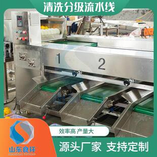 销售不锈钢苹果分级机马铃薯分级机新疆大枣挑选分级机分选机