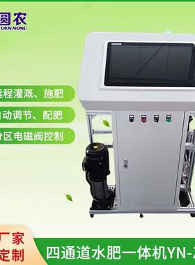 定时定量施肥机 省人工施肥器水肥一体化 YN-ZNT智能水肥一体机