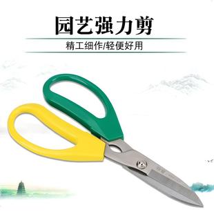 泉欣家用不锈钢强力剪园艺修枝叶剪刀花店修剪花卉园林厨房剪FL-4