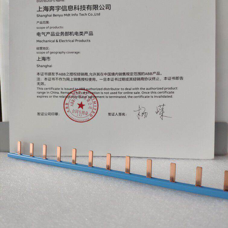 ABB汇流排双进双出 DPN 2P 进口ABB专用接线排