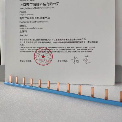 ABB汇流排双进双出 DPN 2P 进口ABB专用接线排