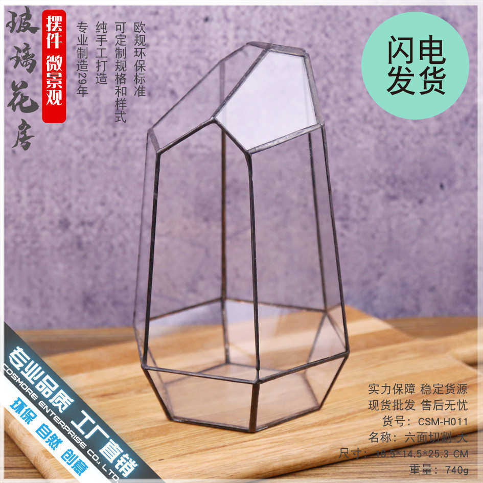 苔藓 玻璃花房 微景观生态瓶盆罩 创意礼品物植物批发 六面切割大