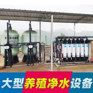大型养殖场用养猪用净水器水机净化水水处理设备水过滤器装置