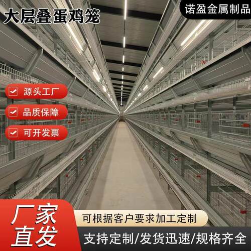 大层叠蛋鸡机械设备热镀锌立式全自动收集自动清粪养殖场鸡笼设备