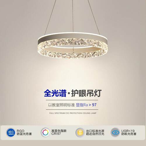 主卧吊灯极简轻奢灯具简约房间书房圆环吊灯设计感后现代卧室主灯