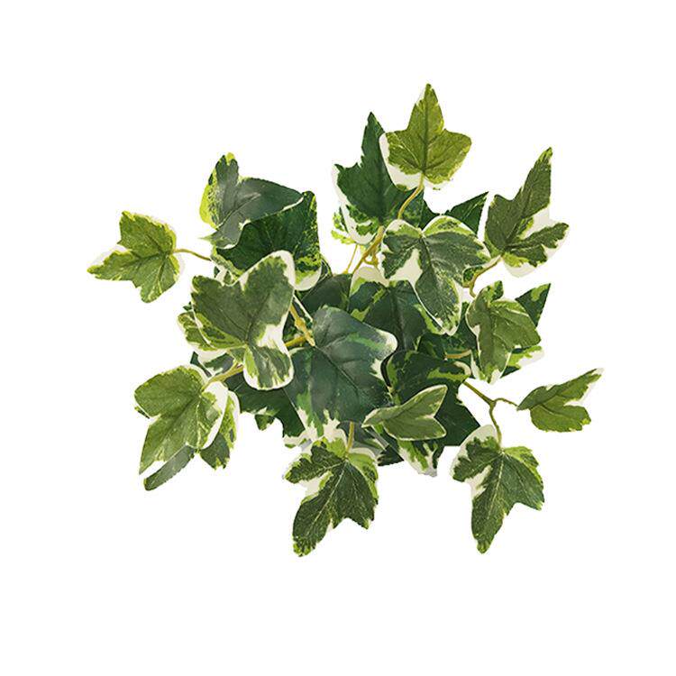 仿真植物墙配材白边地瓜叶假叶子植物把束叶子绿植墙装饰插花盆栽