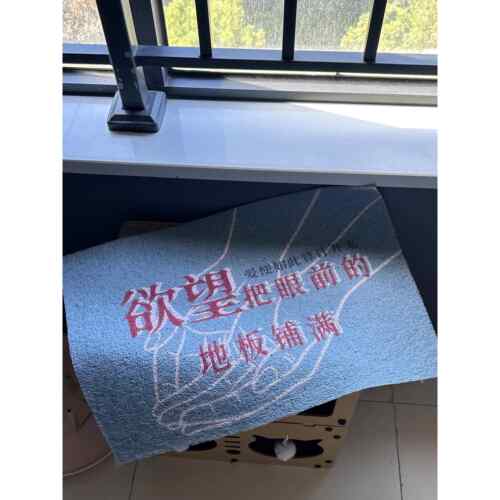 安溥周边欲望把眼前的地板铺满歌词入户地垫丝圈防滑耐磨除尘地毯
