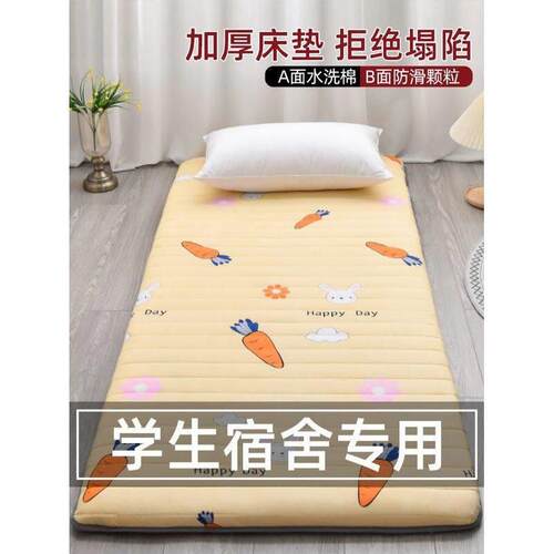 Mattress,summer sponge nonslip mat tatami sleep mat mattess