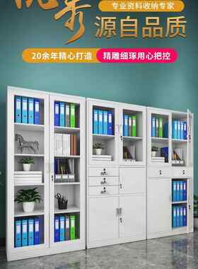 北京钢制办公室文件柜铁皮柜档案柜资料柜凭证柜带锁储物柜器械柜