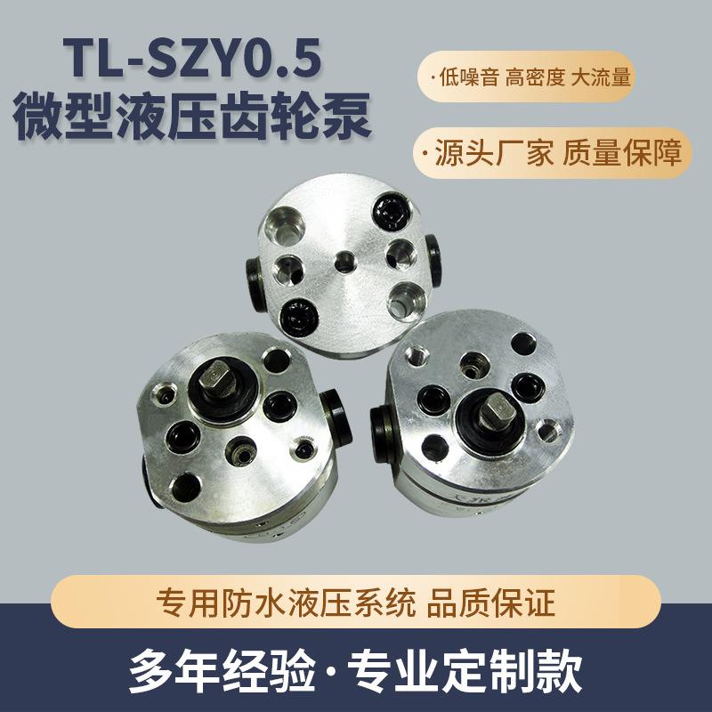 TL-SZY0.5微型液压齿轮泵微型高压齿轮泵微型双向高压齿轮泵