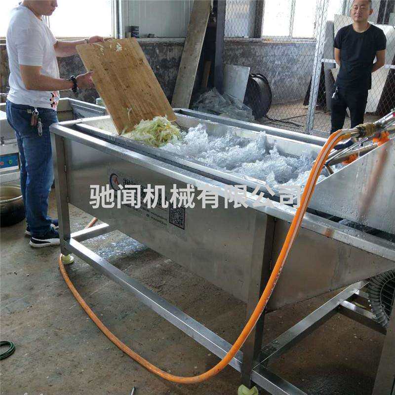 高压喷淋气泡清洗机 木瓜旋涡振动洗菜机 多功能水果蔬菜预洗机