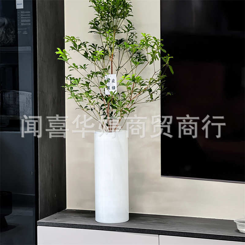 大号龟背竹专用花瓶特大号富贵竹落地水培器皿大玻璃瓶超大瓶子图片