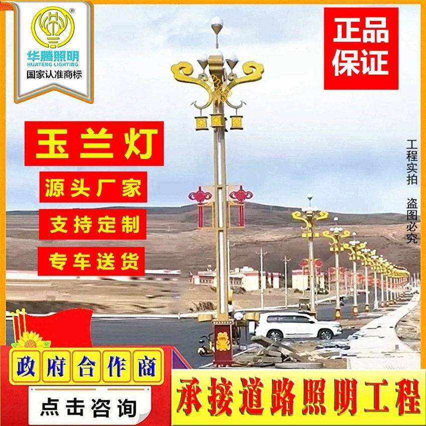 华腾定制中华灯LED玉兰灯广场庭院景观户外杆庭院路灯组合灯