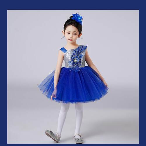 高档儿童演出服公主纱裙蓬蓬裙男女童朗诵合唱服六一幼儿园舞蹈表