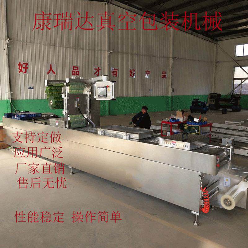 连续式拉伸膜真空包装机米线零食全自动封口机老火腿真空包装机