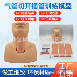 环甲膜穿刺及气管切开插管训练模型环状软骨气管切开术训练教学