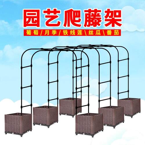 园艺 爬藤支架 鲜花铁艺拱门花架 丝瓜黄瓜番茄 拱形大棚葡萄架