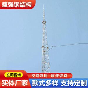避雷针塔 盛强钢结构生产避雷设备 镀锌避雷针可来图咨询