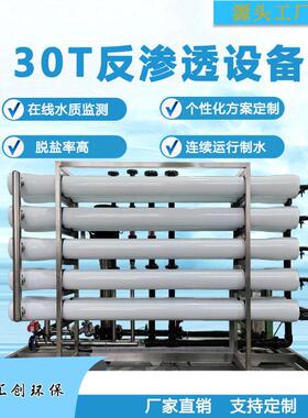 工业大型反渗透设备直饮水处理设备净水系统30吨水处理加工