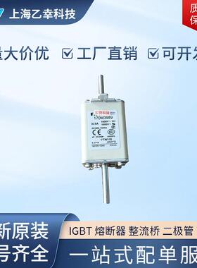 巴斯曼熔断器 170M3984 170M3985 170M3986 170M3987 170M3988