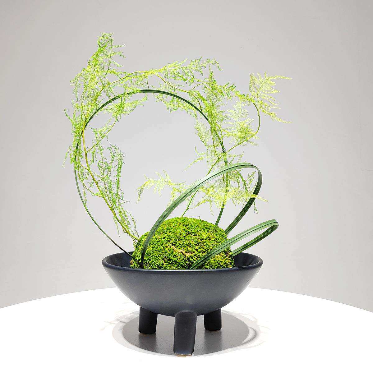 新中式绿植禅意永生苔藓仿真文竹盆景盆栽客厅餐桌现代装饰花摆件
