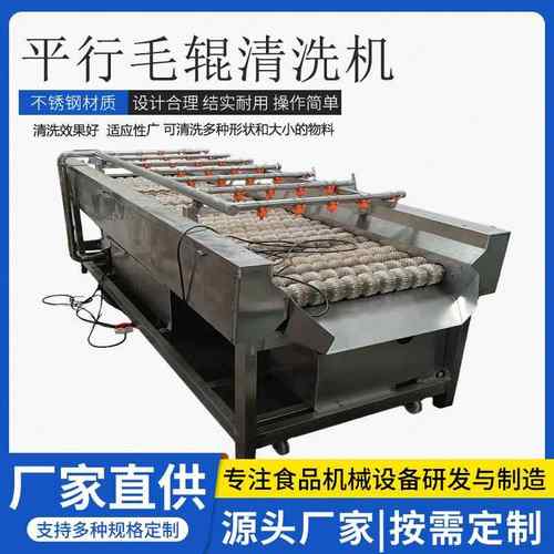 大枣苹果梨橙子百香果平行毛辊清洗机胡萝卜去泥冲洗设备源头工厂
