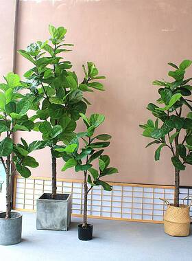模拟植物叶子无花果绿色植物优雅的斯堪的纳维亚软装饰地板站立花