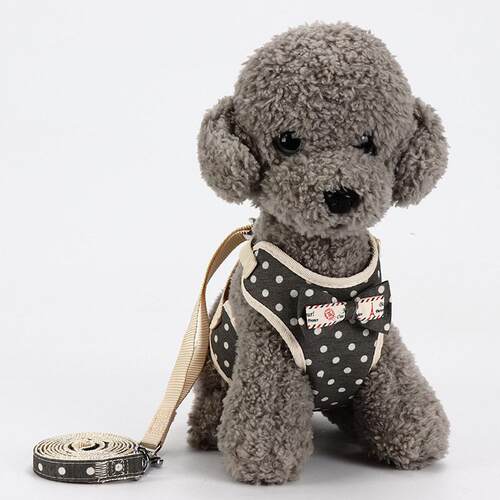 Small Dog Harness and Leash Set Pet Cat Vest Harness with