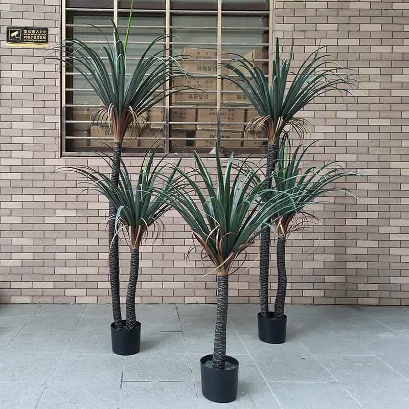 仿真YH-23-13绿植树龙血树丝兰植树造景植栽物剑麻盆橱窗假物橱窗