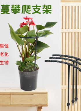 蟹爪兰支架固定撑杆花架植物花防倒伏架支撑杆盆栽绣球花卉盆架子