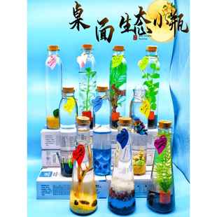 鱼缸造景古法缸斗鱼生态瓶办公桌微景观水族箱减压神器儿童节礼物