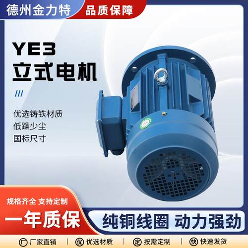 国标铜线电机YE2YE3三相异步电动机YE3-132S1-2立式电机
