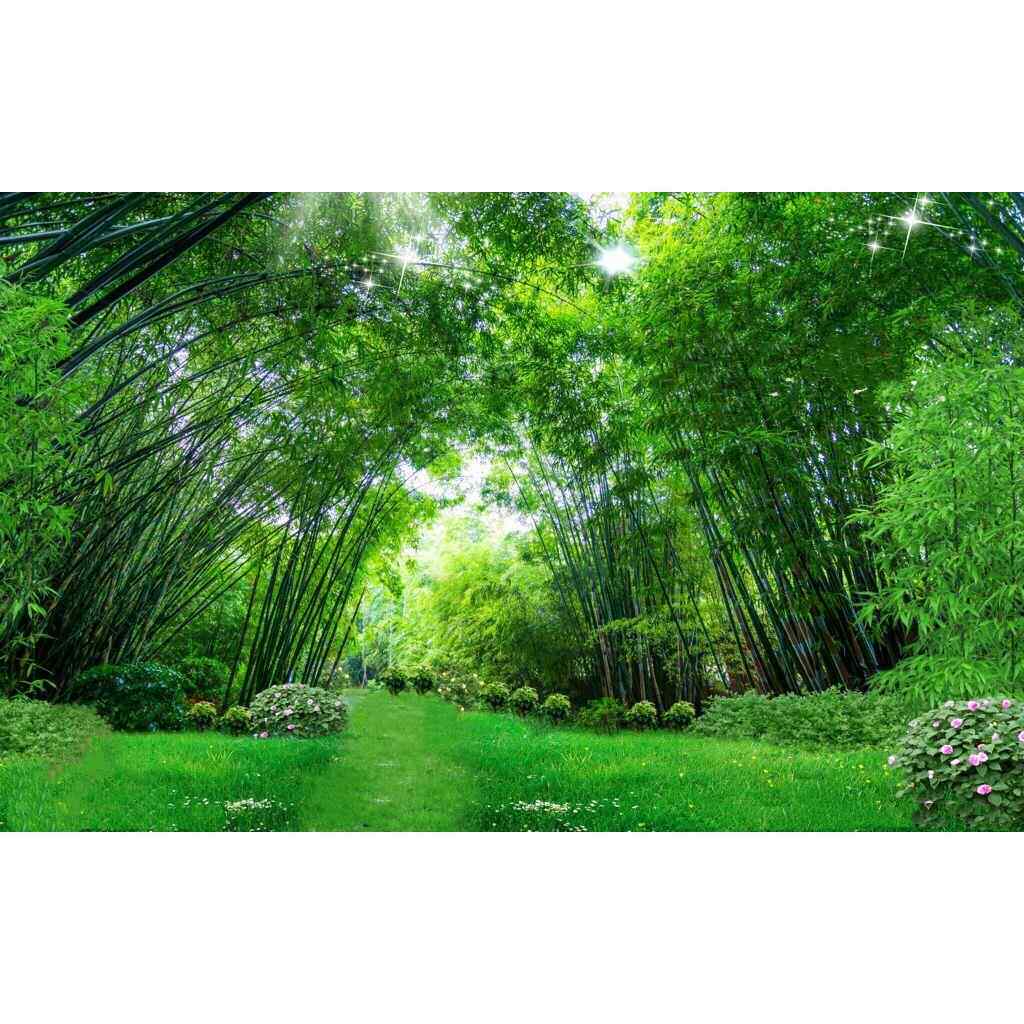 定制亚光自粘画客厅过道玄关电视背景墙纸贴画绿色树林竹林包邮
