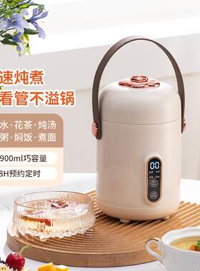 便携式烧水壶小型迷你宝宝冲奶自动保温一体旅行多功能煮粥电热杯
