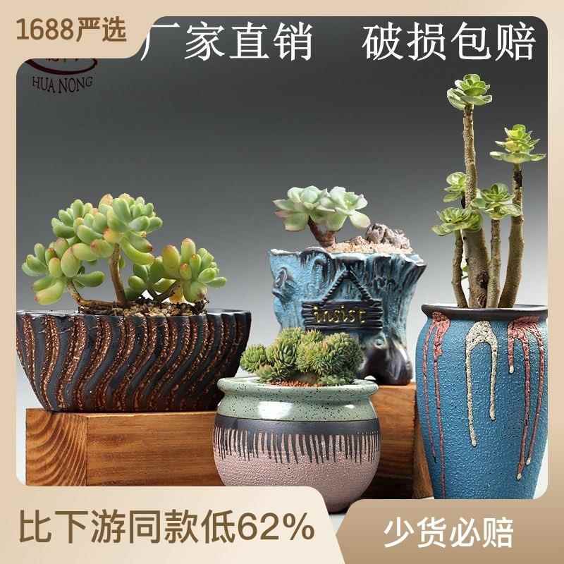多肉花盆创意陶瓷摆件家居多肉园艺老桩绿植盆栽盆景