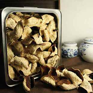 新会五年老陈皮茶 梅江塞口围十年陈皮 500克礼品铁罐十五年陈皮