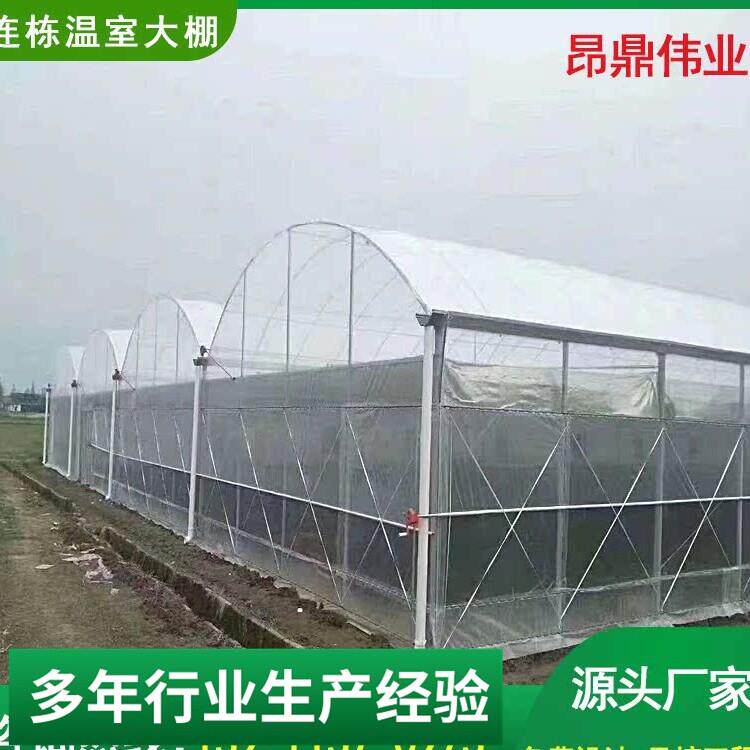 连栋温室大棚农业花卉种植钢结构大棚骨架养鸡养鸭养猪保温大棚
