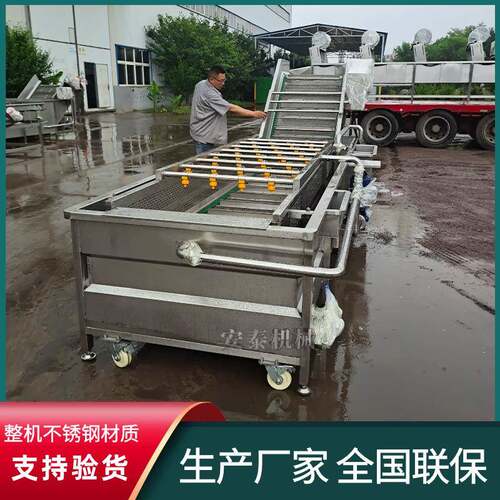 辣白菜加工气泡清洗机蘑菇高压喷淋清洗设备多功能青菜清洗机