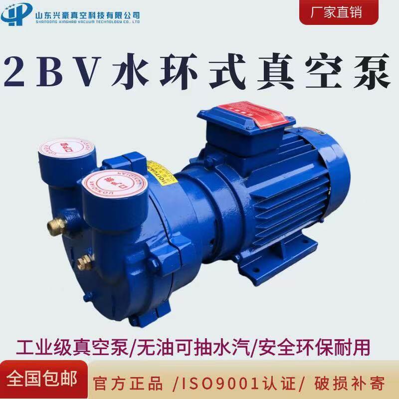 官方正品2BV水环式真空泵抽真空热销品真空泵大功率工业用抽气泵