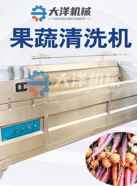 全自动毛刷清洗机实拍毛辊式花生果清洗设备莲藕洗泥机新型洗菜机