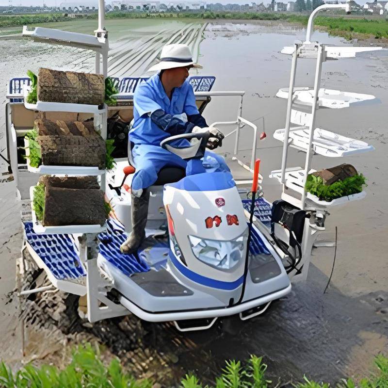 乘坐式汽油机种水稻的机器插秧机水稻秧苗栽植机25马力柴油机