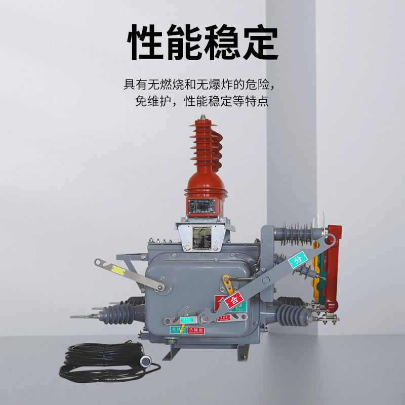 智能型高压断路-门器Z压W20-12F/630户外高智能断路器看狗