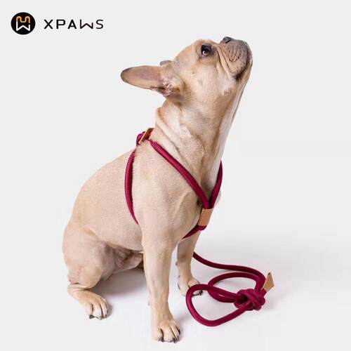 XPAWS 宠物一体式胸背带可调节胸背式牵引绳中小型犬遛狗绳柴犬