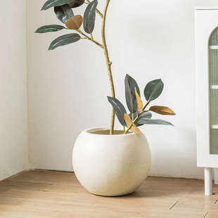 大口径花盆大号轻奢高级感客厅球形镁泥水泥黑金刚龟背竹花盆陶瓷