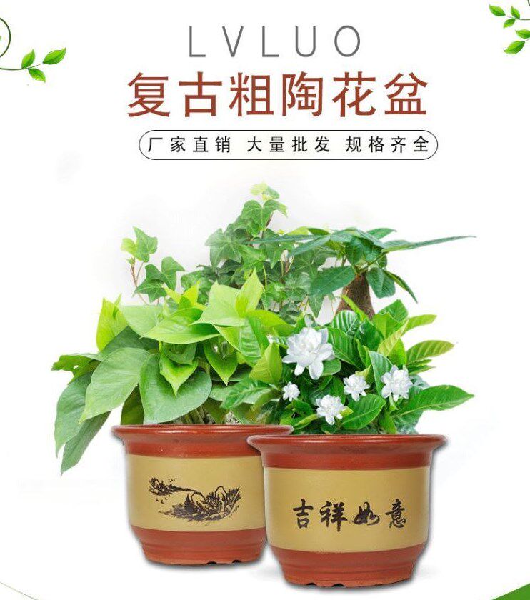 厂家直销大号陶瓷紫砂粗陶花盆清仓特大号兰花盆栽家用带托盘包邮