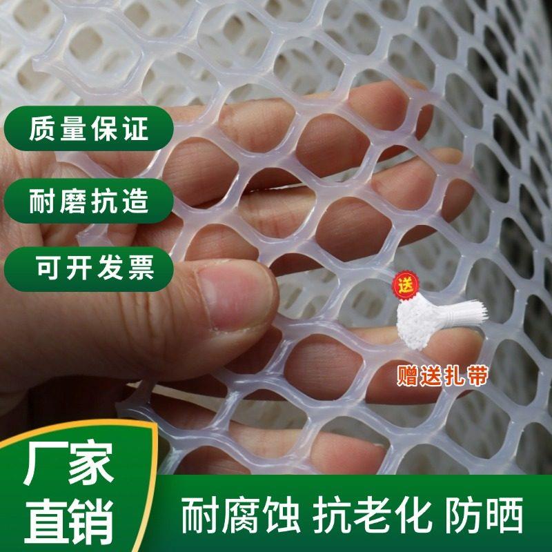 塑料平网塑料网格防护小孔塑料网猫笼狗笼脚垫鸡鸭脚垫养殖隔离网