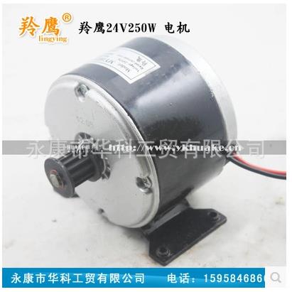 电动车电机24v250w同步轮电机小海豚电动滑板车电机电瓶车电摩