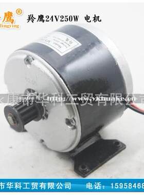 电动车电机24v250w同步轮电机小海豚电动滑板车电机电瓶车电摩